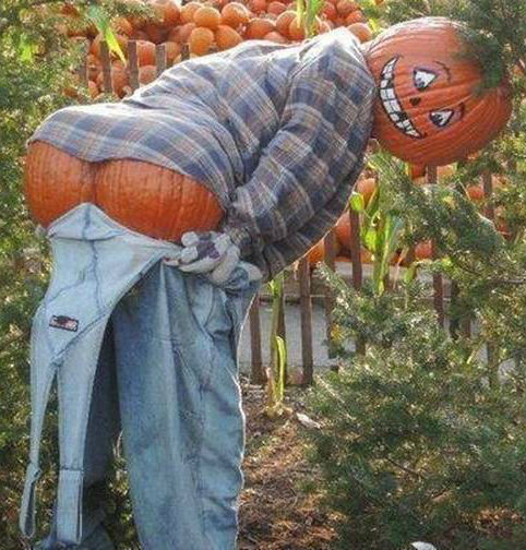 photo of scarecrow mooning