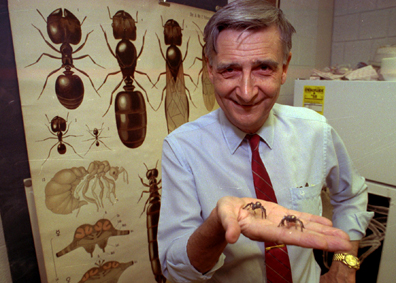 photo of wilson with ant model in hand